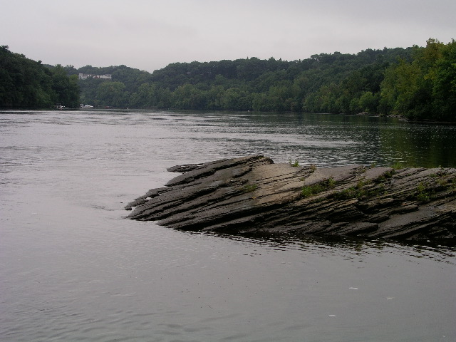 P9040004.JPG