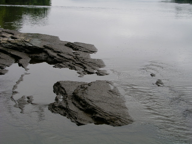 P9040005.JPG