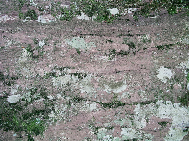 Goat_Peak - 44
