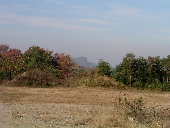 Hatfield - 40