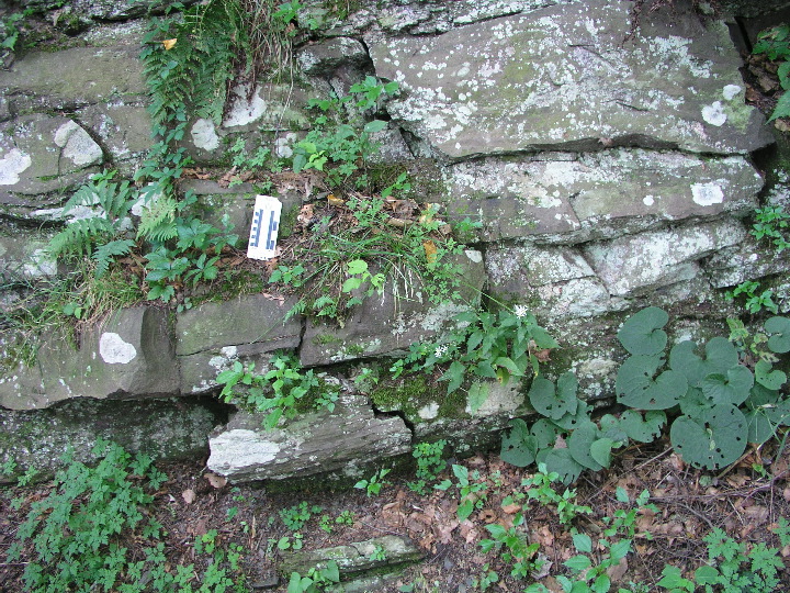 Mt_Holyoke - 03