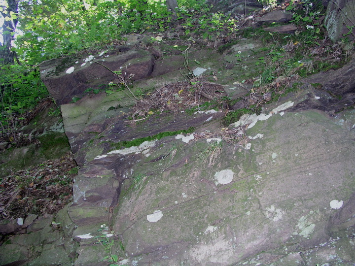 Mt_Holyoke - 20