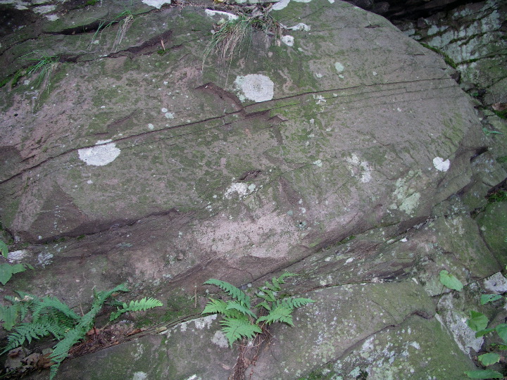 Mt_Holyoke - 21
