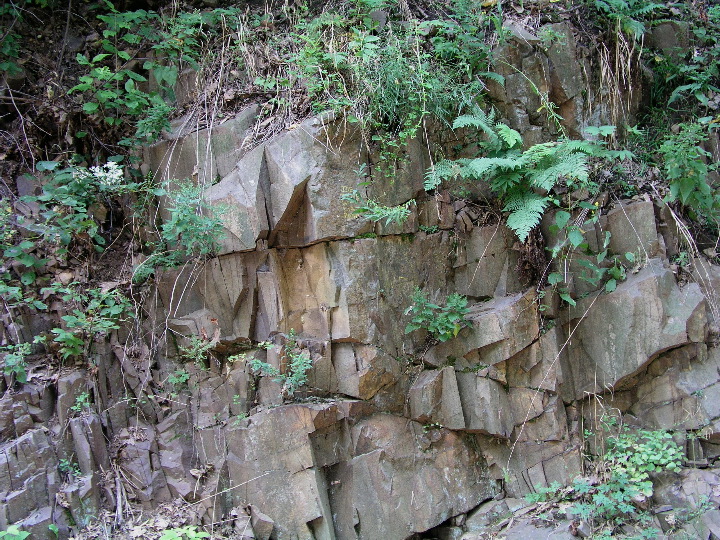 Mt_Holyoke - 29