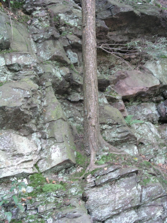 Mt_Holyoke - 10