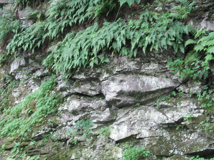 Mt_Holyoke - 11