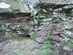Mt_Holyoke - 14