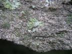 Mt_Holyoke - 16