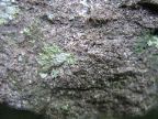Mt_Holyoke - 17