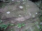 Mt_Holyoke - 21