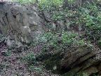 Mt_Holyoke - 24
