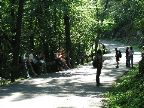 Mt_Holyoke - 25