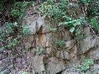 Mt_Holyoke - 29