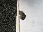 Mt_Holyoke - 32