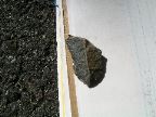 Mt_Holyoke - 33