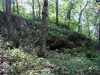 Mt_Holyoke - 37