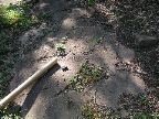 Mt_Holyoke - 38