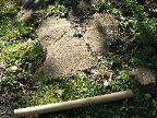 Mt_Holyoke - 39
