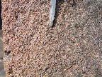 Mt_Holyoke - 41