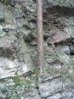 Mt_Holyoke - 10