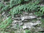 Mt_Holyoke - 11