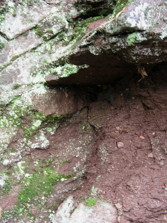 Mt_Sugarloaf - 58