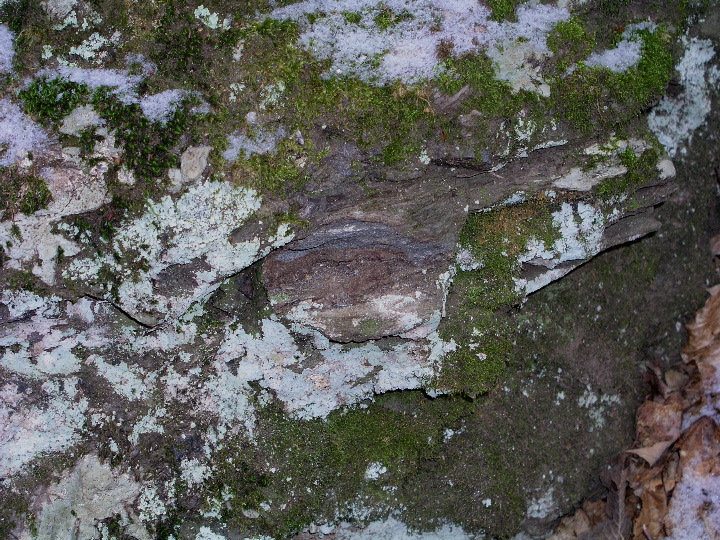 Roaring_Brook - 14