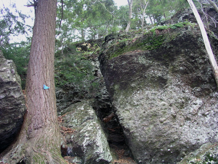 Roaring_Brook - 18