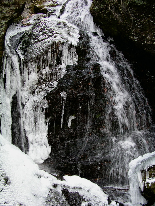 Roaring_Brook - 19