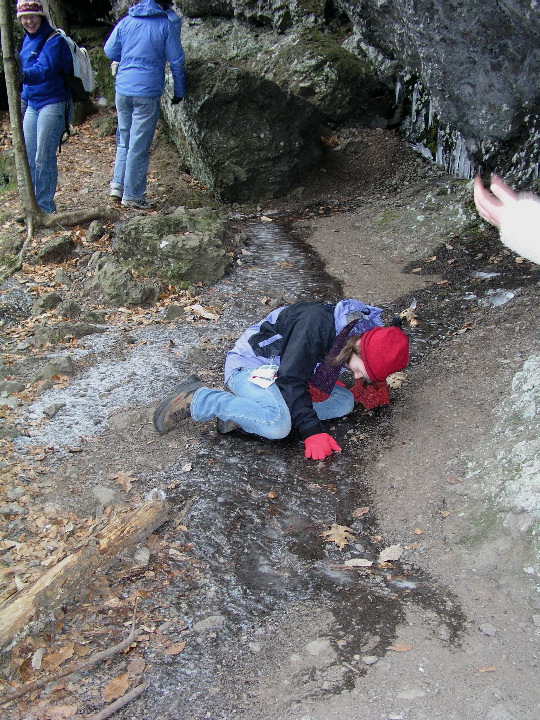 Roaring_Brook - 41