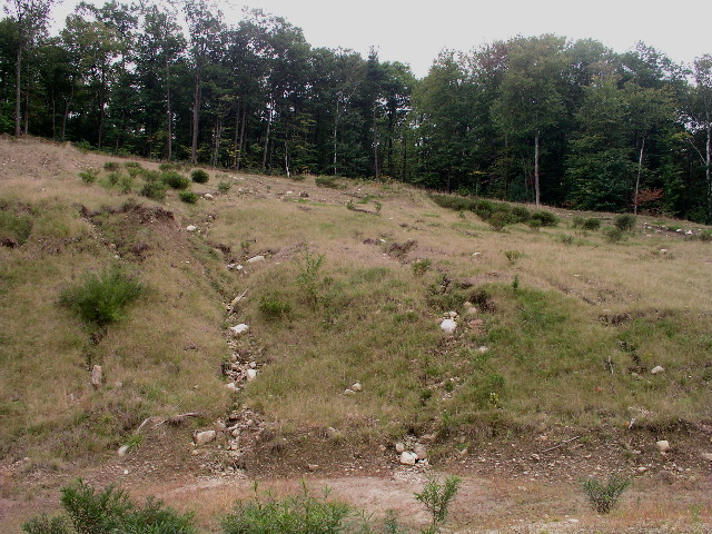 TurkeyHill - 12