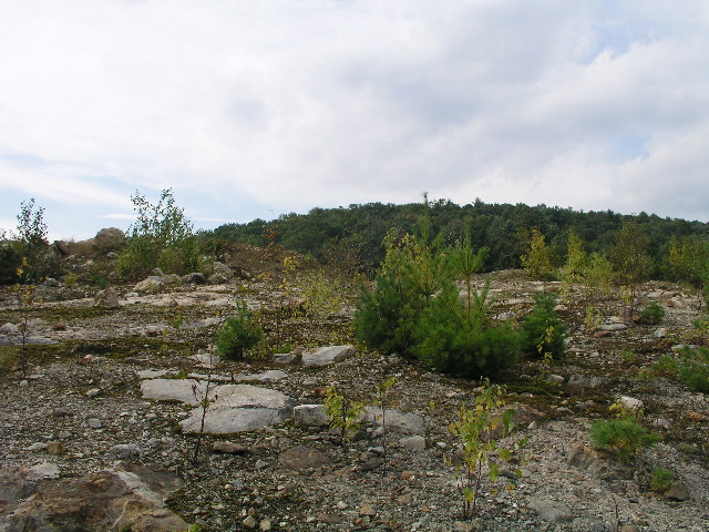 TurkeyHill - 54