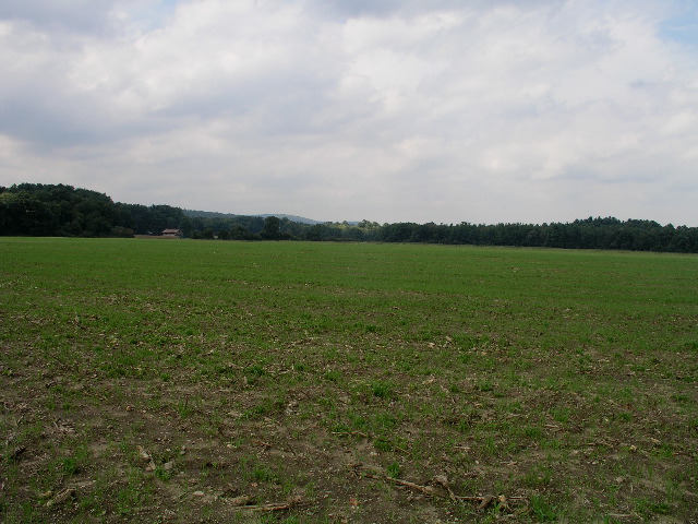 TurkeyHill - 07