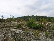 TurkeyHill - 54