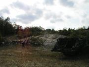 TurkeyHill - 81