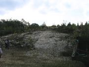TurkeyHill - 82