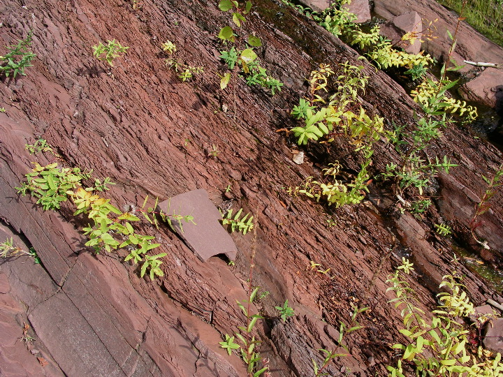 TurnersFalls - 14
