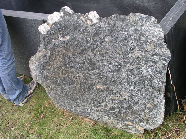 Ashfield_Stone_002