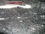 Ashfield_Stone_004