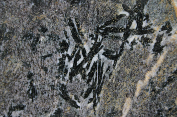 Ashfield_Stone_005a