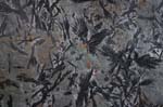Ashfield_Stone_014a
