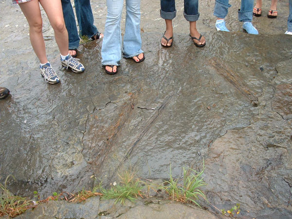 dino_prints_016a