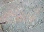 dino_prints_015a