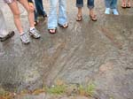 dino_prints_017a