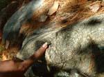 Hatfield_003a