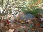 Hatfield_007a