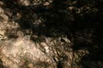 Hatfield_018b