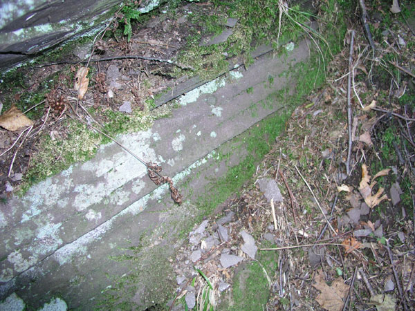 Mt_Holyoke_005