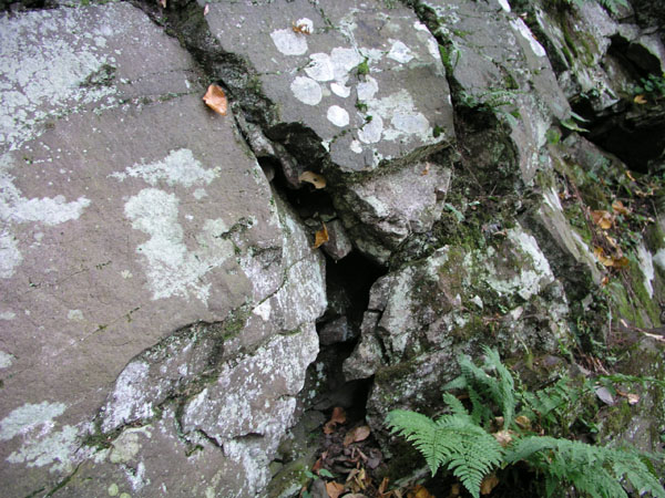 Mt_Holyoke_006