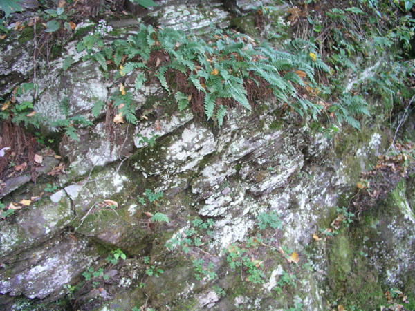 Mt_Holyoke_010
